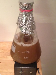 Flask over stirplate